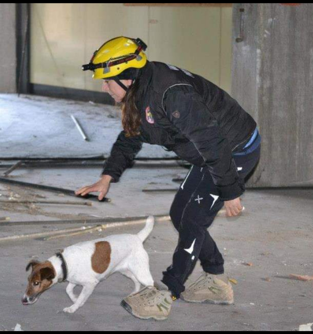 Novara Caterina